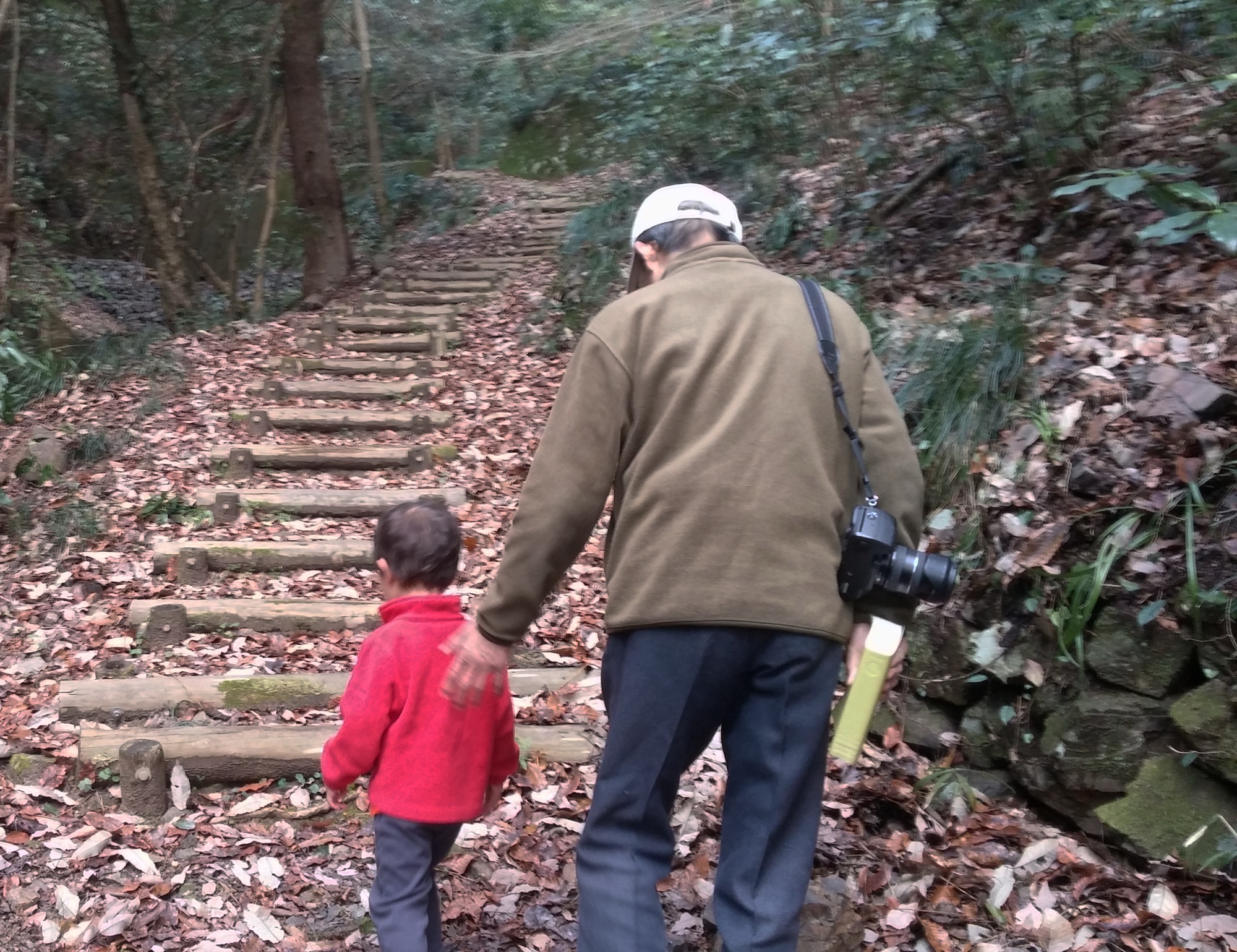 Kai and Jiji hiking up a forest path